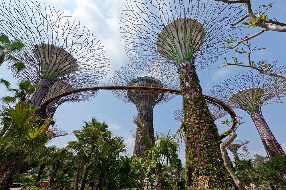 The Bay Supertrees Singapore Garden