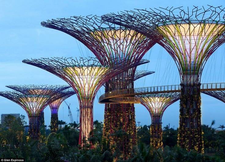 The Singapore Botanic Garden