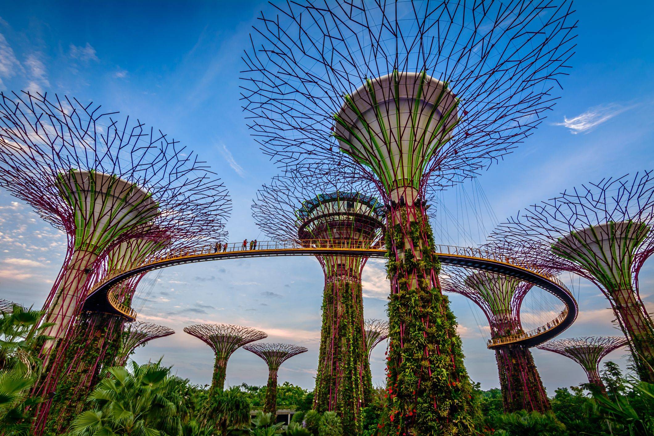 Singapore Garden