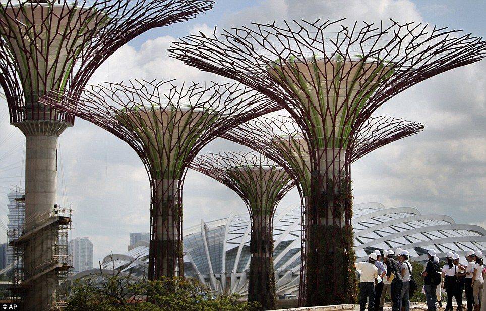 Singapore Myo Zin Htut Singapore