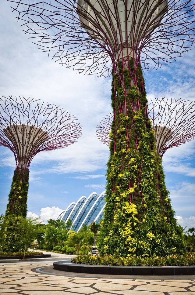 The Gardensbythebay