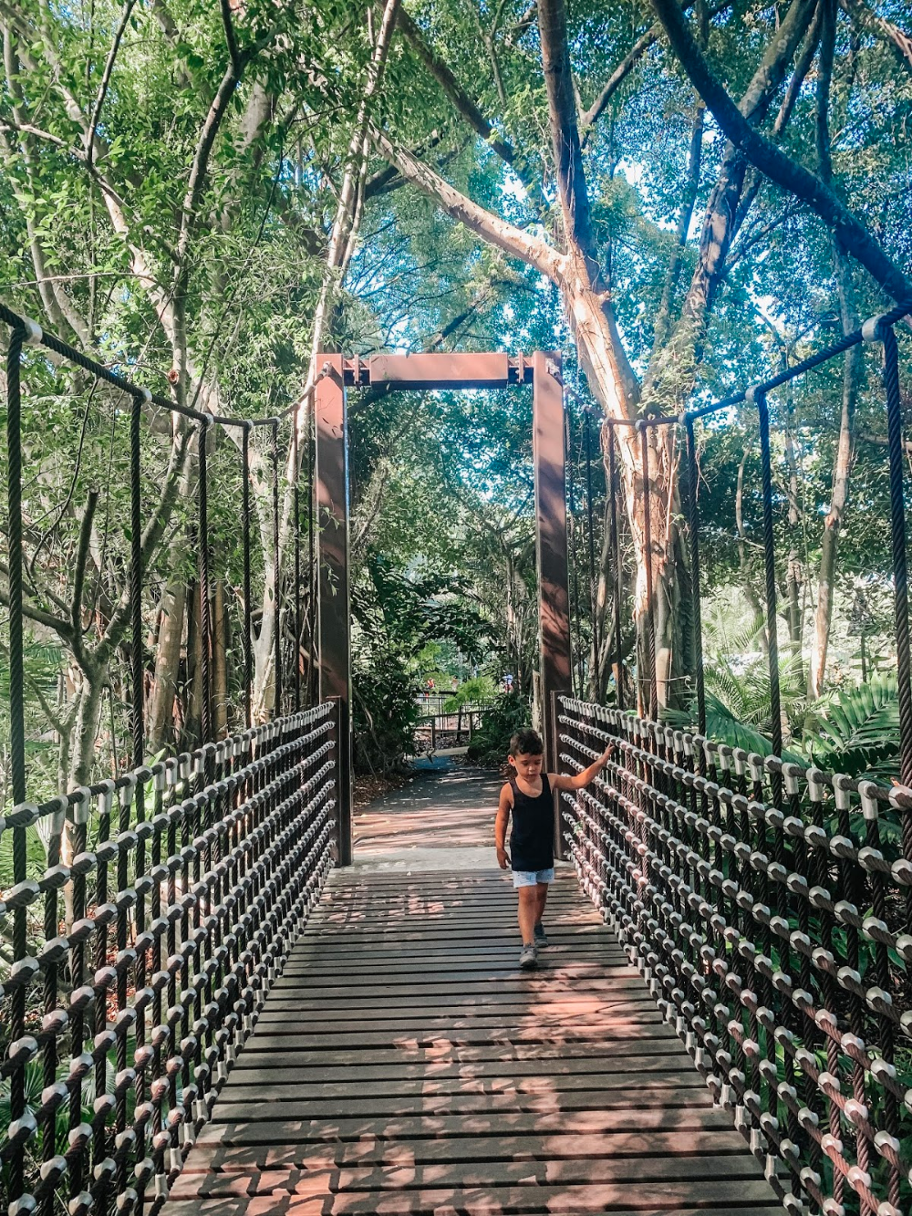 Botanic Gardens Singapore Garden