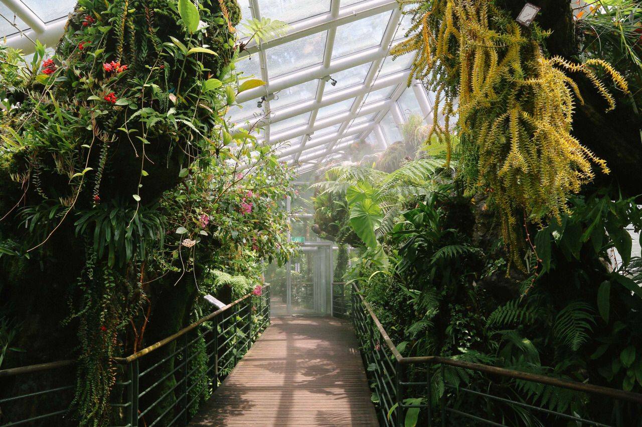 Singapore Tourist Destination Attractions Reviews