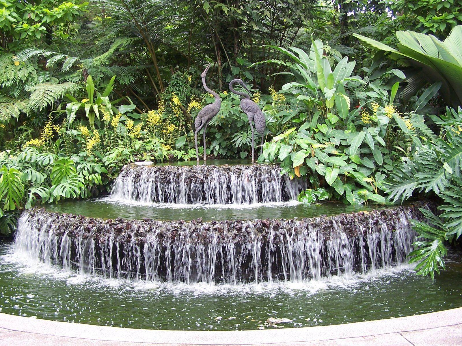 Singapore Botanic Gardens
