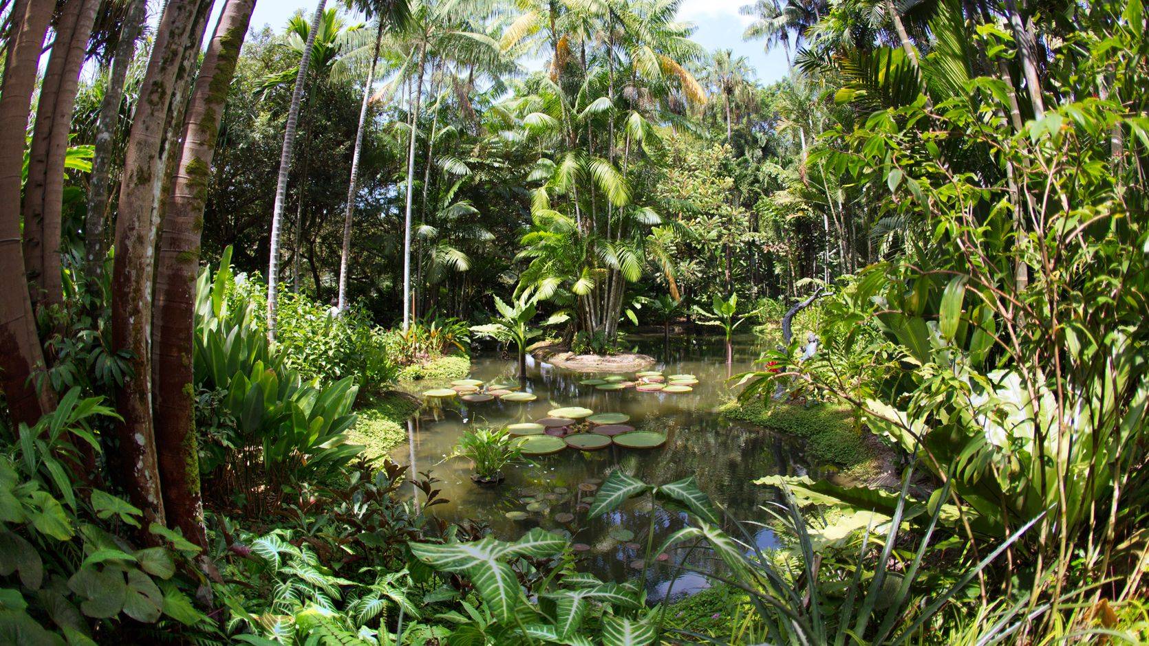 Singapore Botanic Gardens