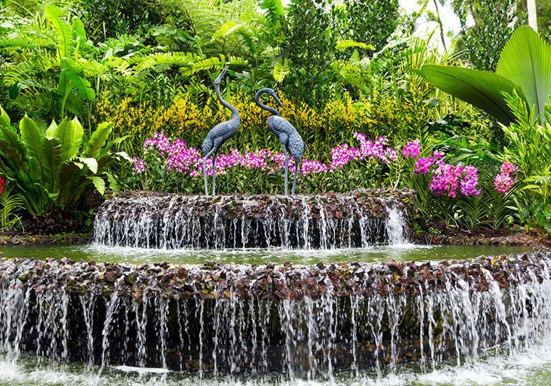 Singapore Botanic Gardens Singapore Botanic Gardens