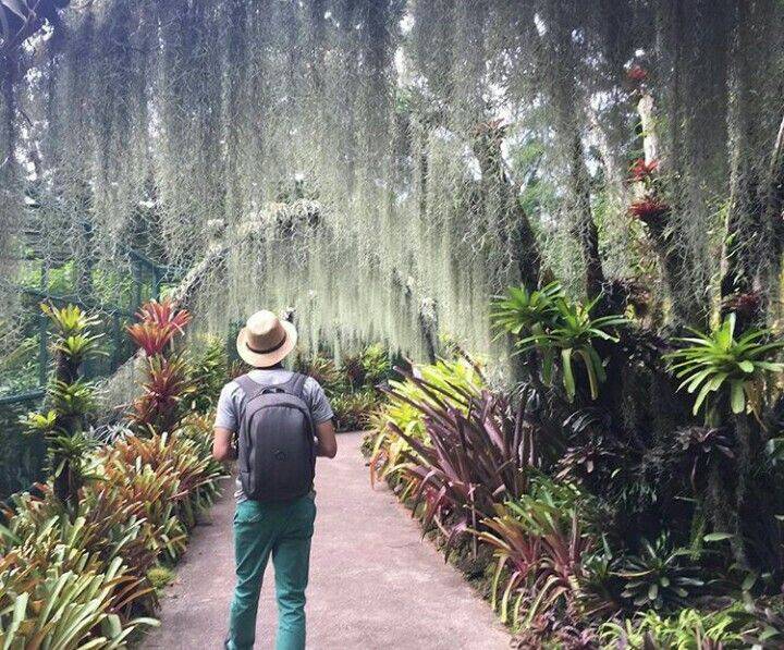 Singapore Botanic Gardens Singapore Botanic Gardens
