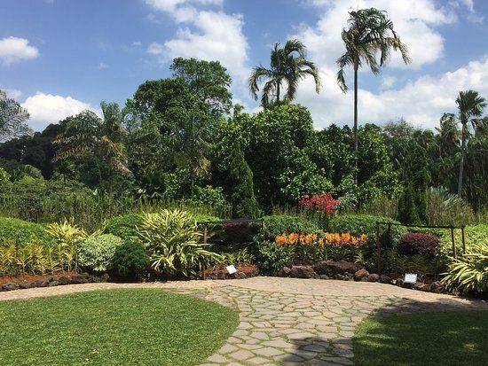 Singapore Botanical Garden
