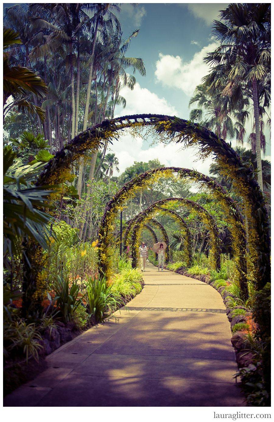 Singapore Botanical Gardens Awesome Botanical Gardens