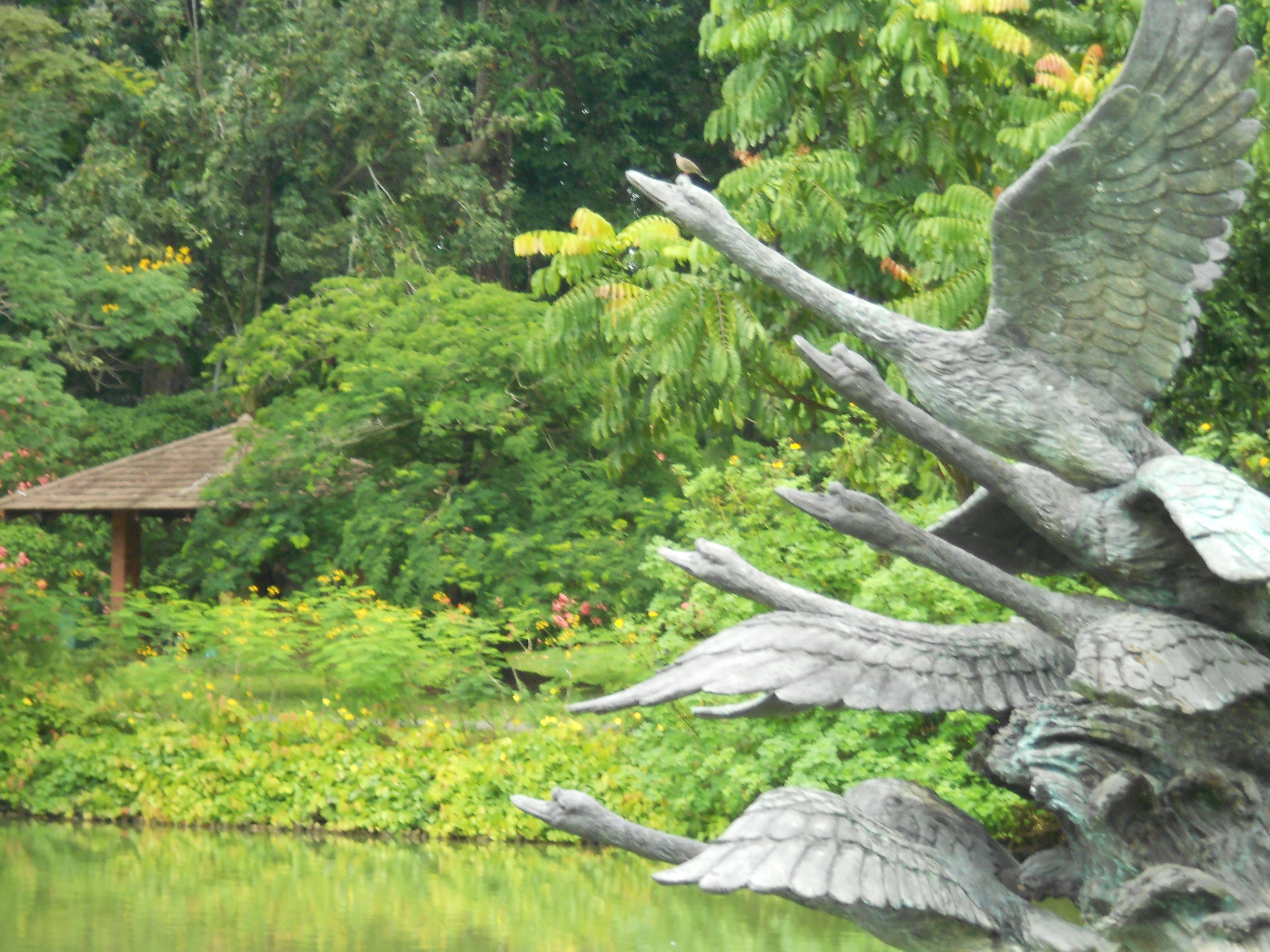 The Suspension Bridge Singapore Botanic Gardens