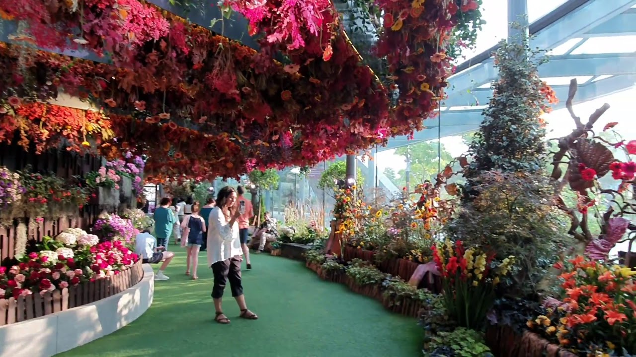 A Flowering Tropical Oasis