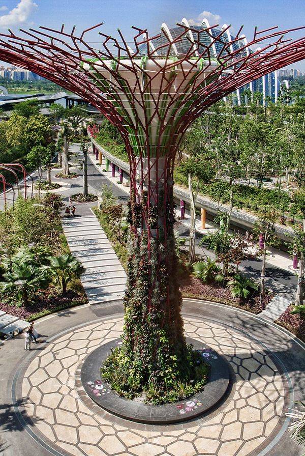 The Bay Cloud Forest Singapore Garden