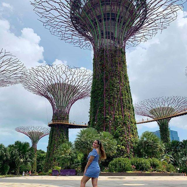 The Bay Cloud Forest Singapore Garden