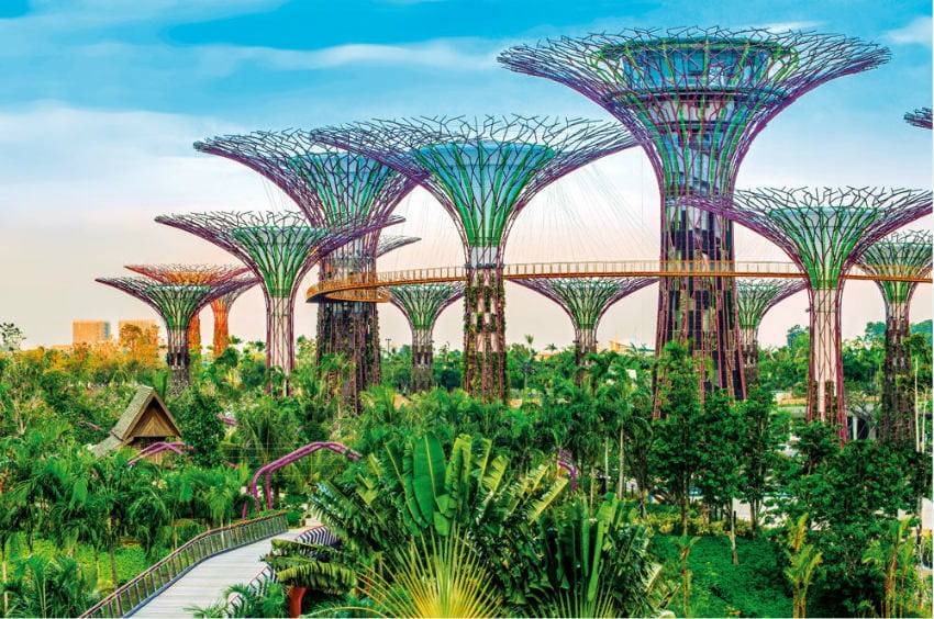 New The Best Garden Ideas