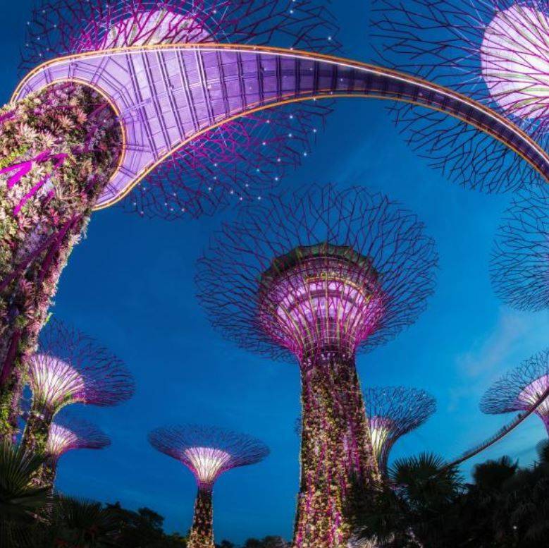 New The Best Garden Ideas