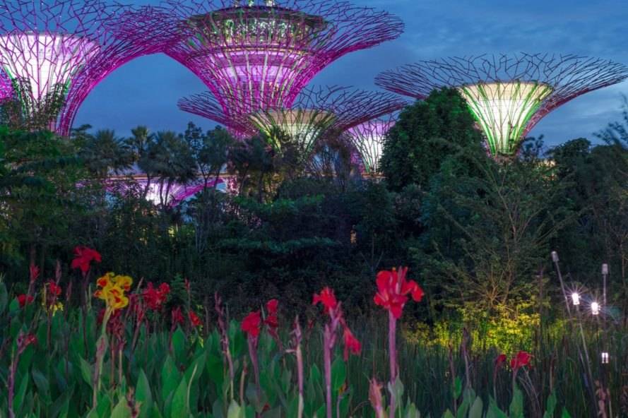 Singapores Largest Garden Project