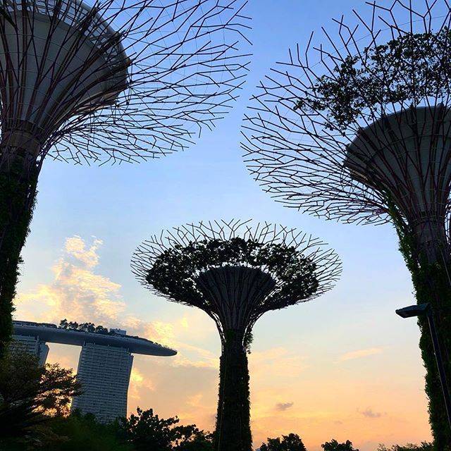 The Bay South Botanical Preserve