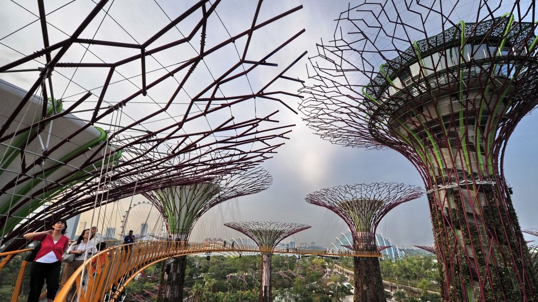 The Singapore Botanic Gardens Travel