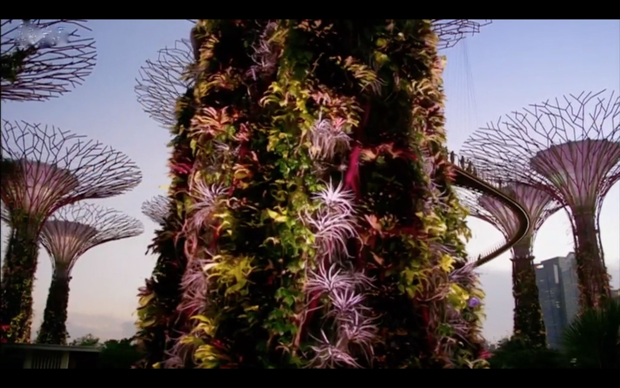 The Singapore Botanic Gardens Travel