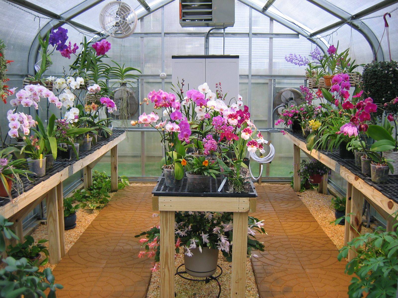 Orchid Garden Ideas