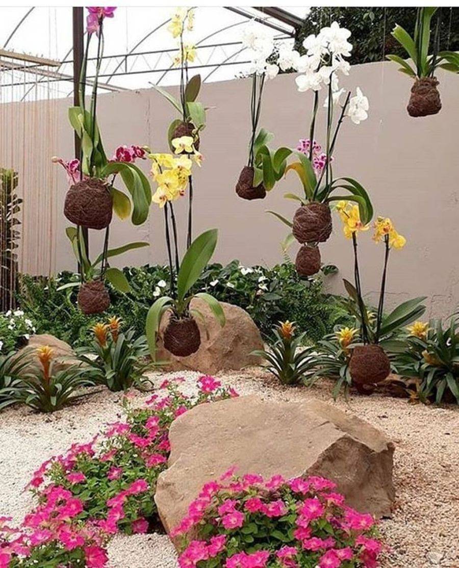 Orchid Garden Ideas