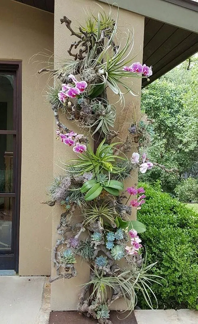 Vertical Wall Planters