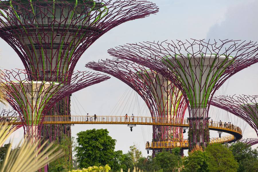 Futuristic Urban Farms