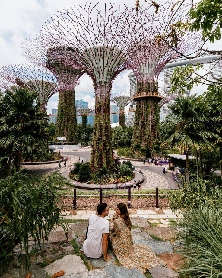 Amazing Gardens Singapore Garden