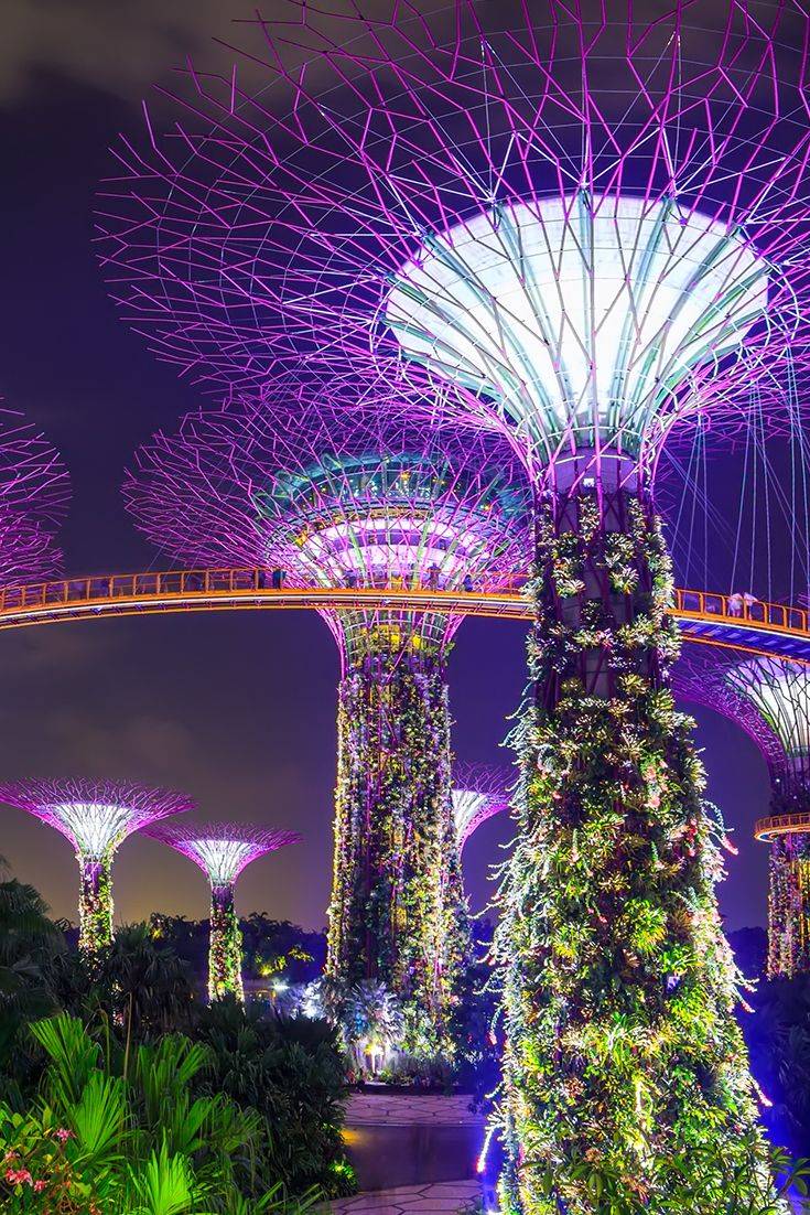 Singapore Food Blog Recipes