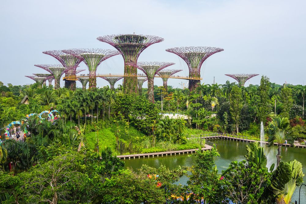 Ocbc Skyway Gardens