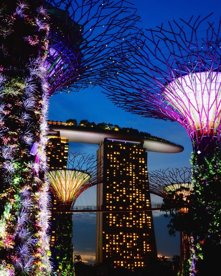 The Most Amazing Landscape Architects