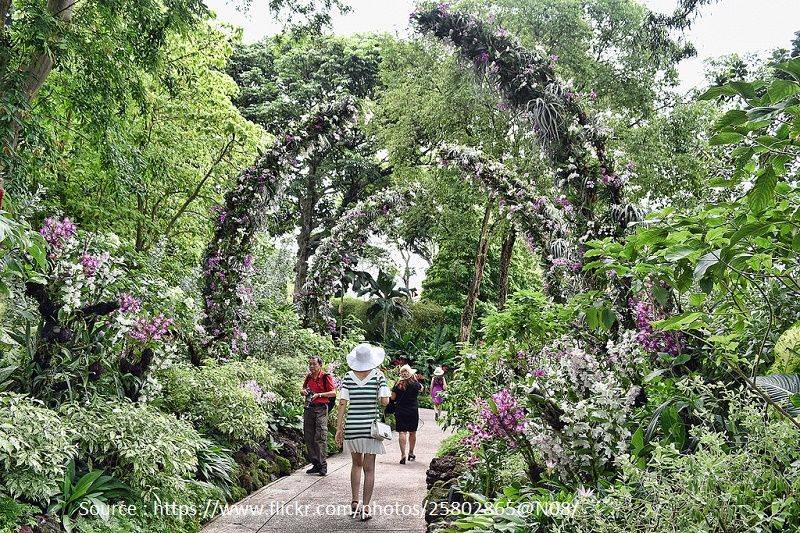 The Bay Conservatory