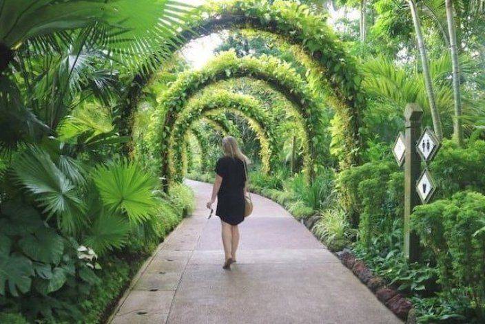 Singapore Botanic Garden