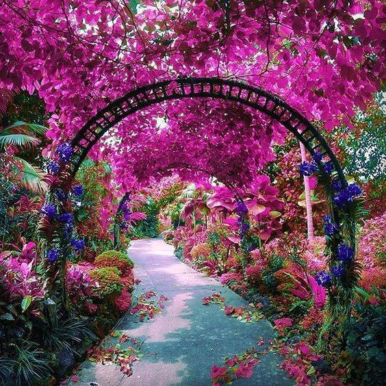 Singapore Botanic Gardens