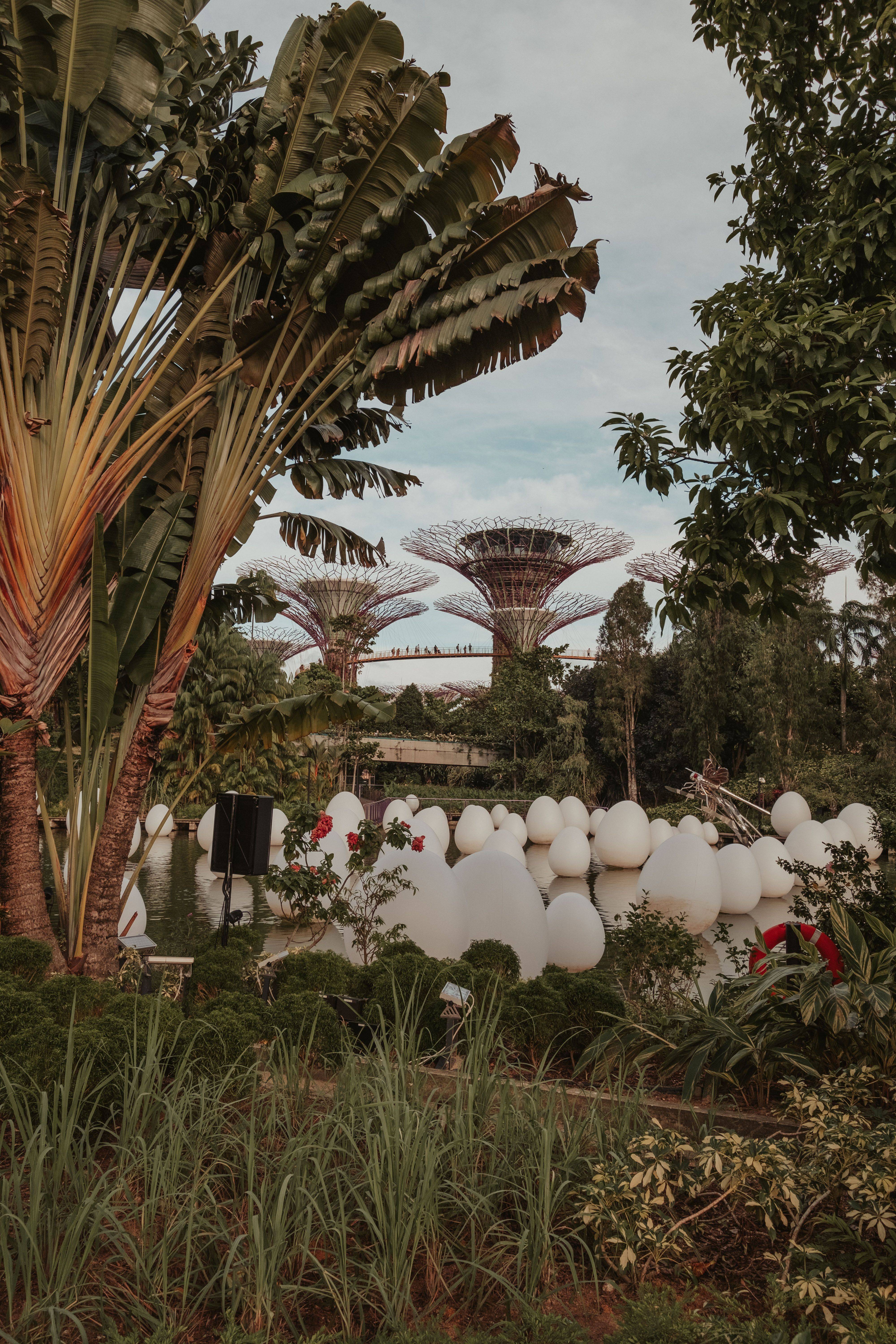 Singapore Botanic Gardens Singapore Botanic Gardens