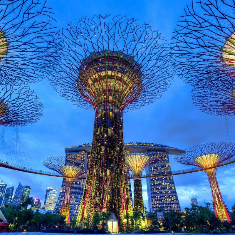 Singapore Gardens Bing Images Singapore Garden