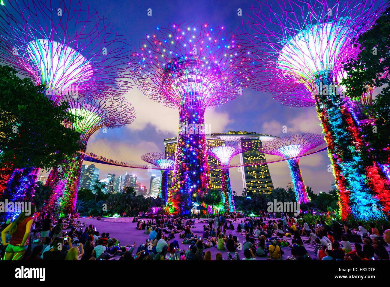 The Singapore Botanic Garden