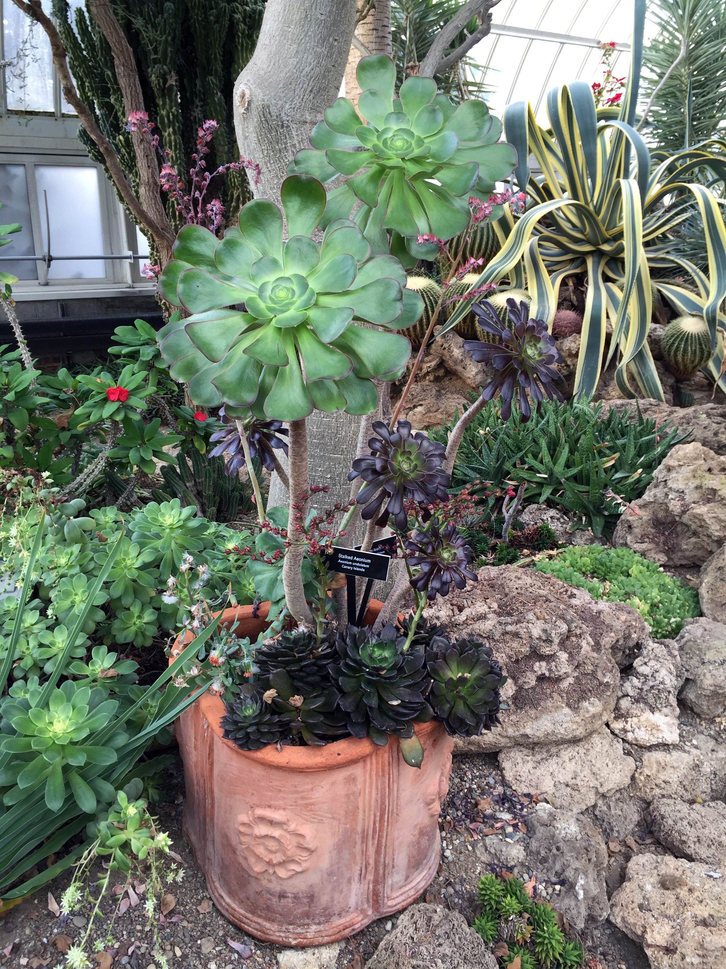 Organic Gardening Magazine