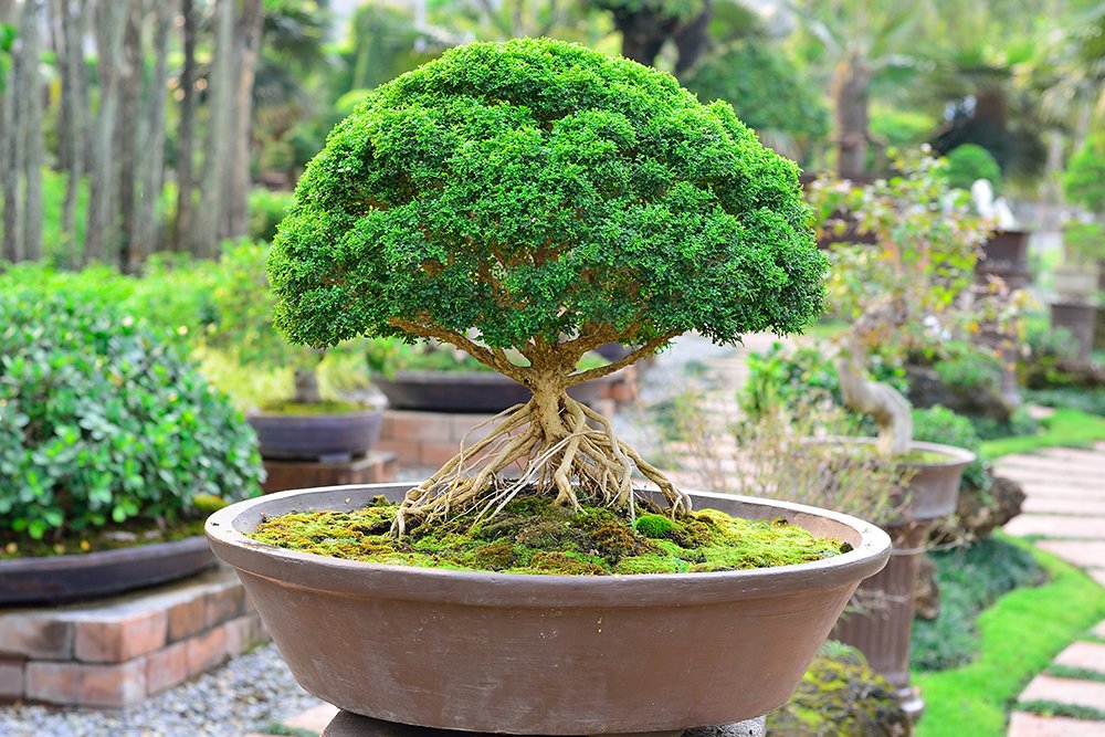 State Botanical Gardens