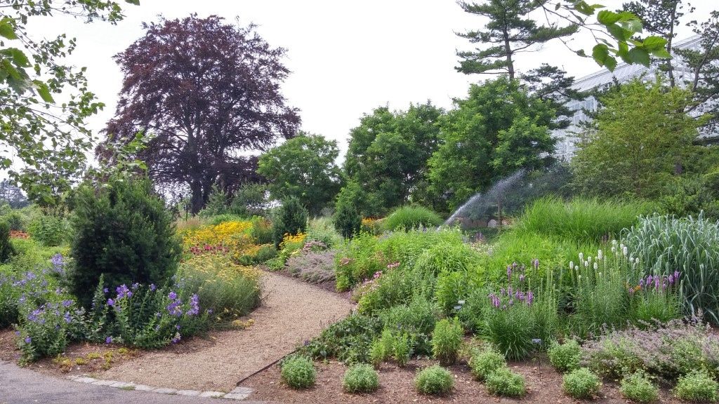 The Botanic Garden