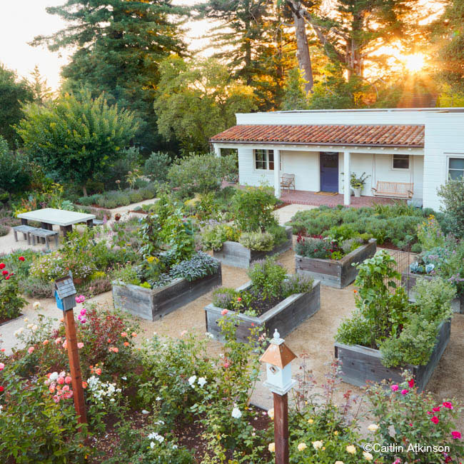 A Botanical Garden
