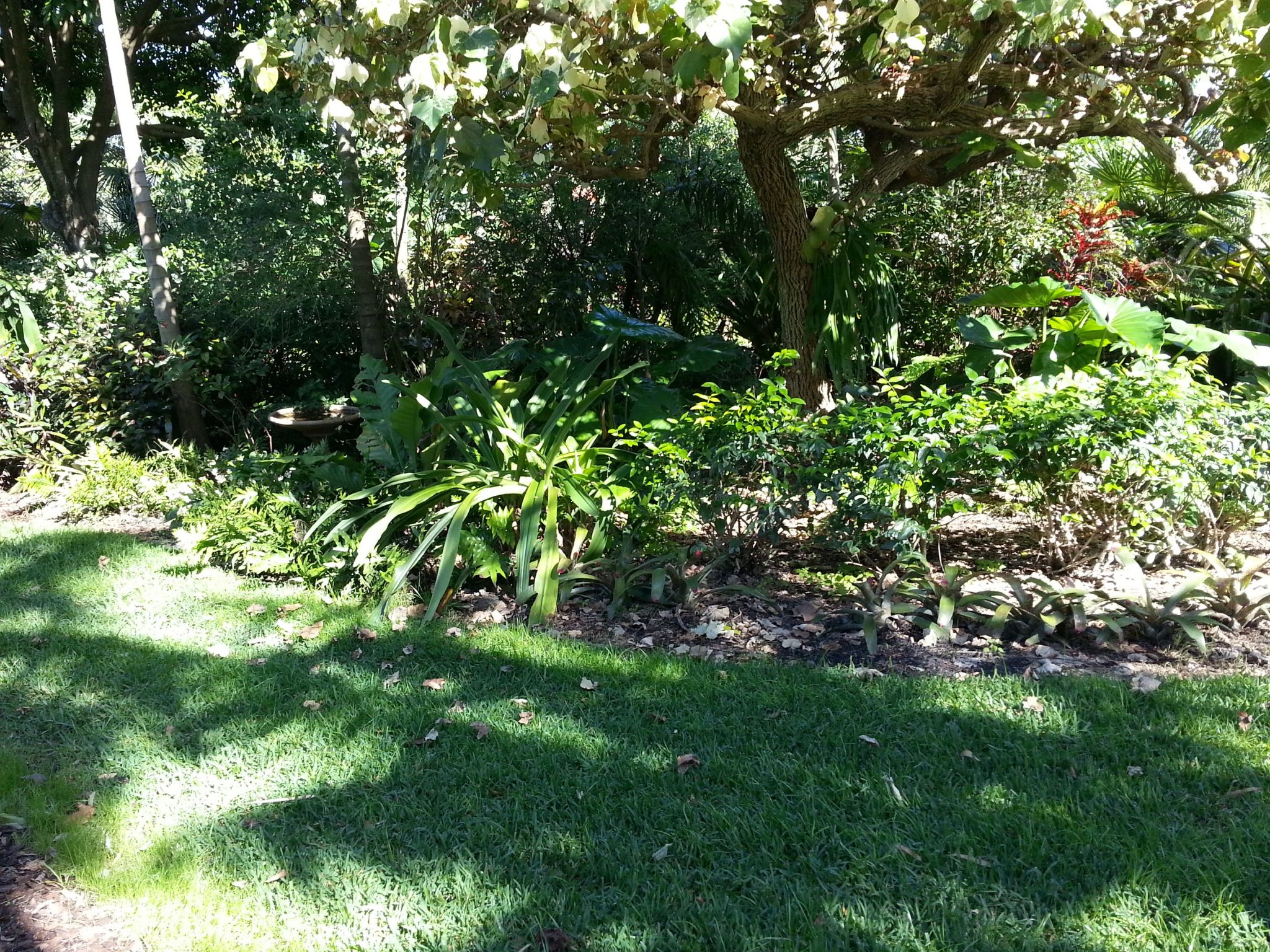 Your Dry Garden Woes