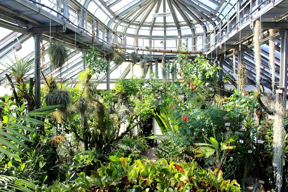 A Finely Tailored Life