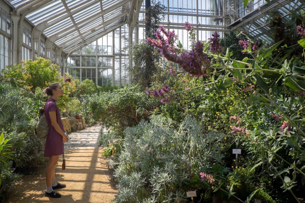Berlin Botanical Garden Botanical Gardens