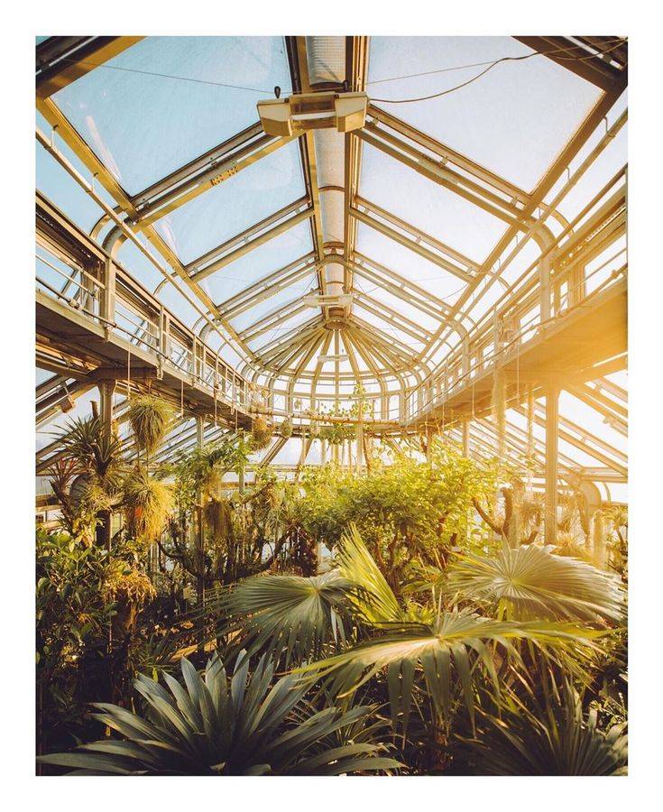Botanischer Garten Berlin Hochzeit Dieses Wochenende Anzugehen Von