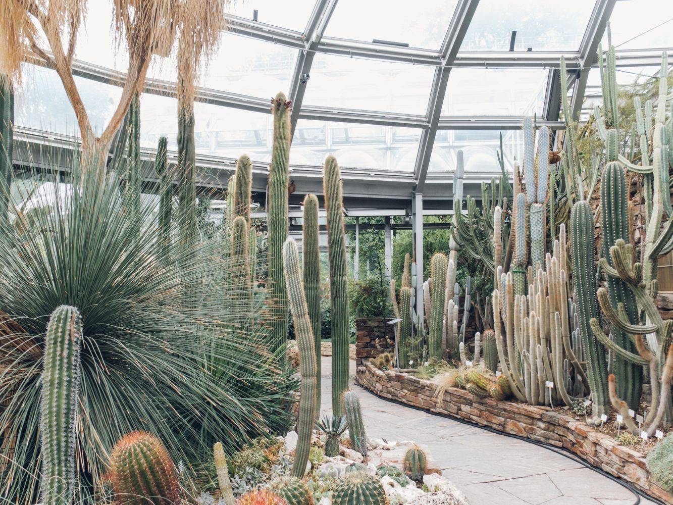 The Berlin Botanical Garden Grounded Traveler