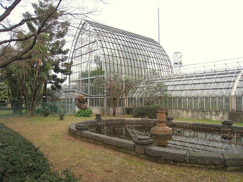 Beautiful Gardens