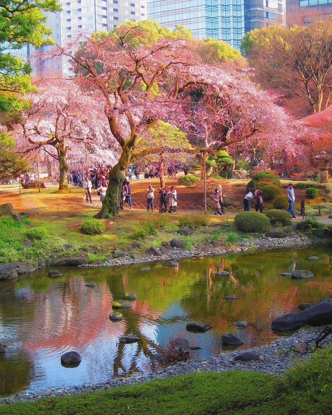 Botanical Gardens Koishikawa Korakuen Gardens