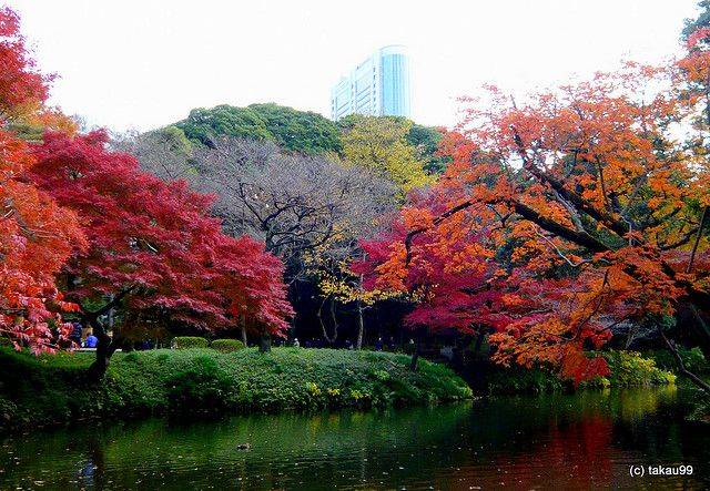 Japanese Botanical Gardens Auburn