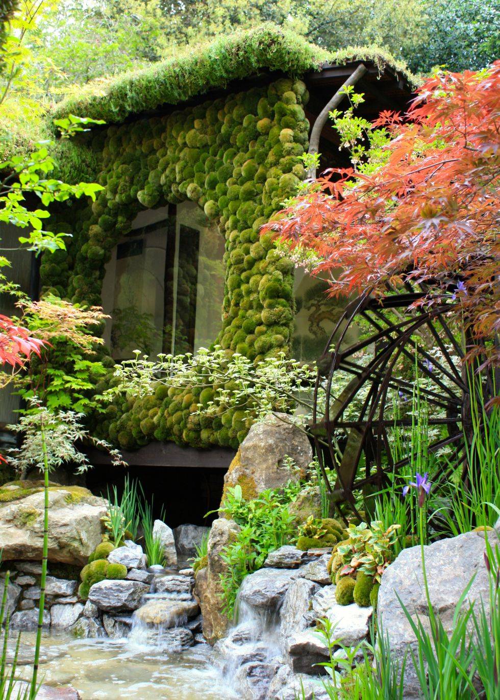 Japanese Landscape